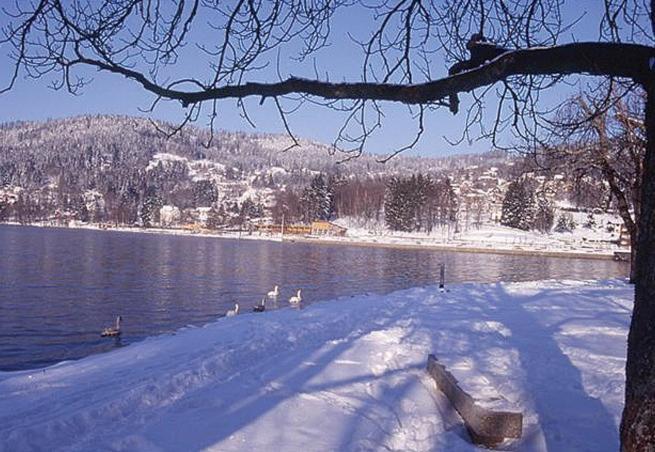 Gite Les Glycines Gérardmer Exteriör bild