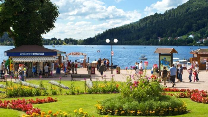 Gite Les Glycines Gérardmer Exteriör bild